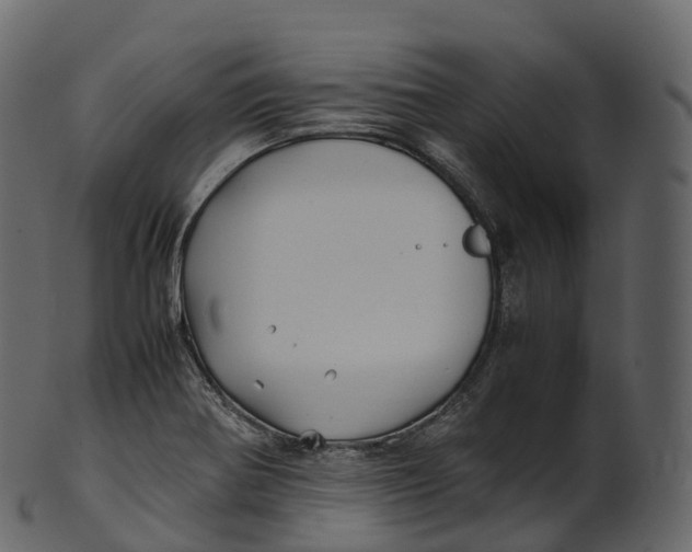 X0000100491370200807031906