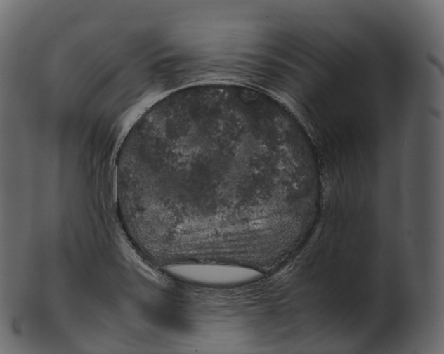 X0000100491371200807031906