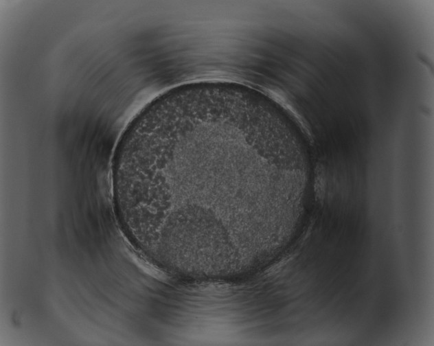 X0000100491372200807031906