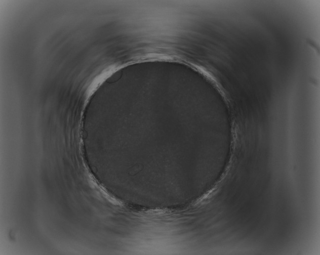 X0000100491373200807031906