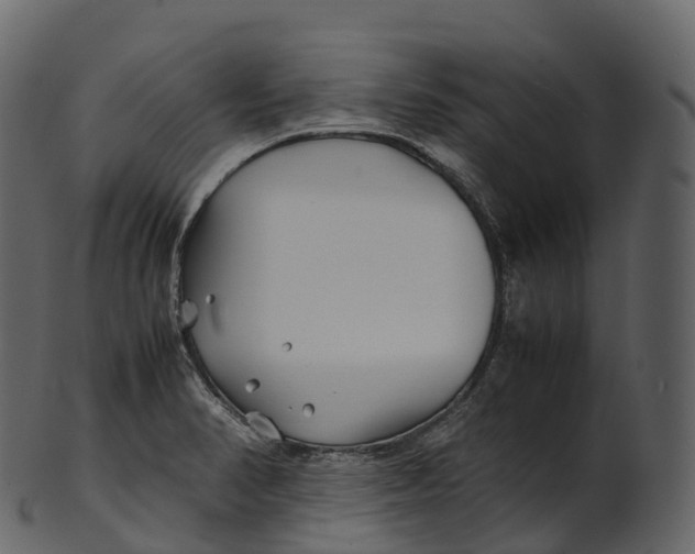 X0000100491374200807031906