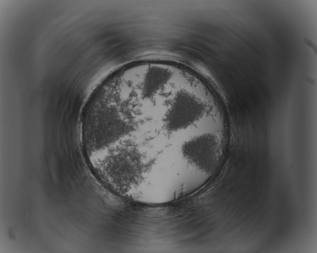 X0000100491376200807031906