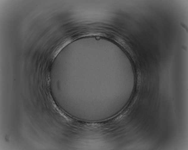 X0000100491377200807031906