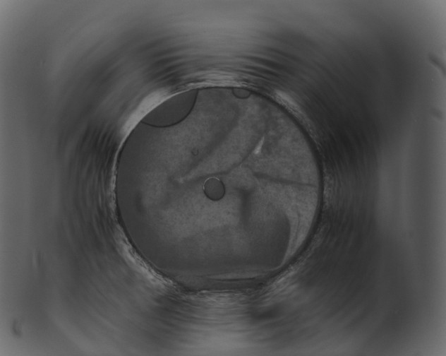 X0000100491378200807031906