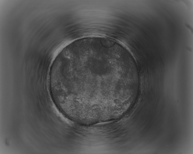 X0000100491379200807031906