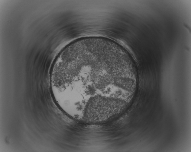 X0000100491380200807031906