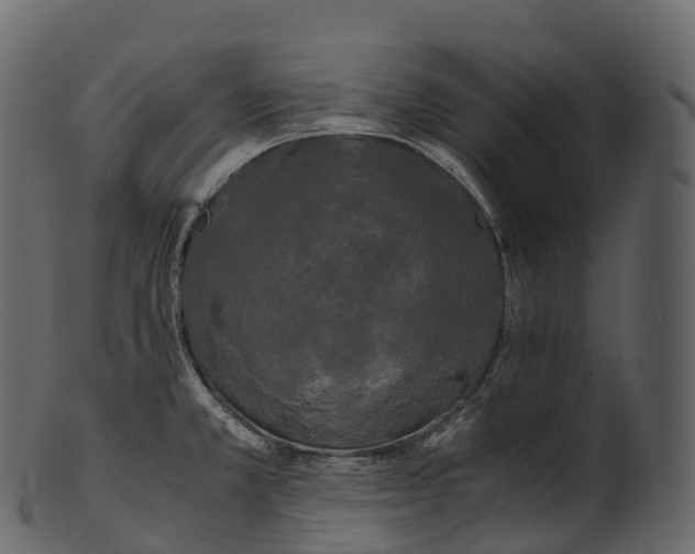 X0000100491381200807031906