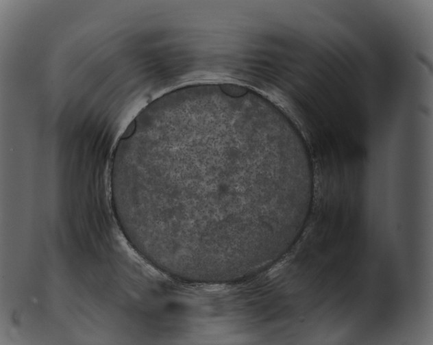 X0000100491382200807031906