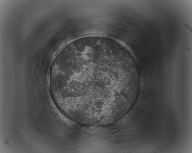 X0000100491383200807031906