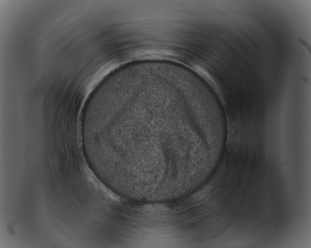 X0000100491384200807031906