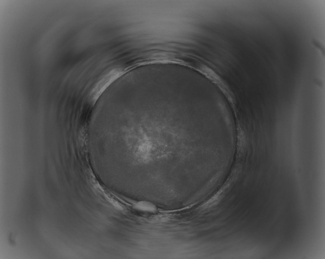 X0000100491385200807031906