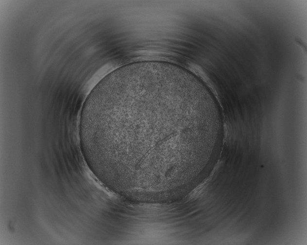 X0000100491386200807031906