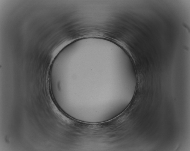 X0000100491387200807031906