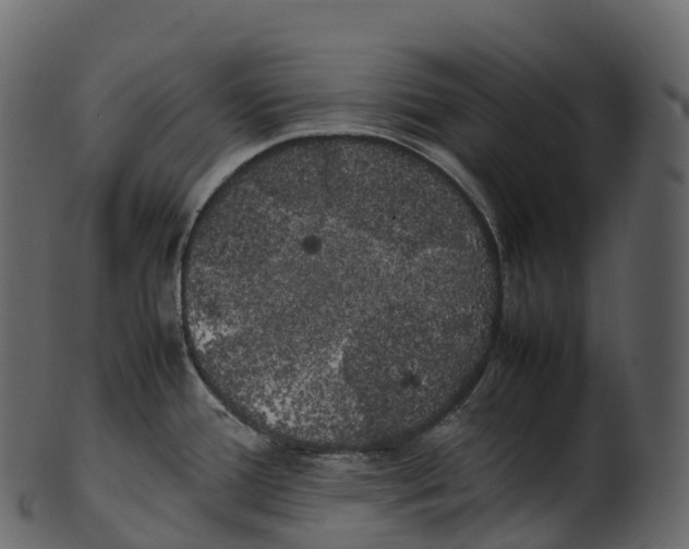 X0000100491388200807031906