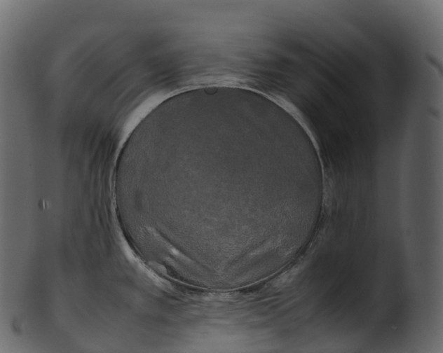 X0000100491389200807031906