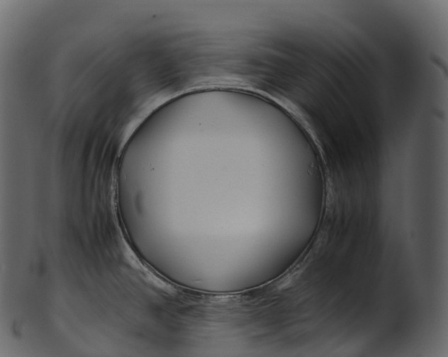 X0000100491390200807031906