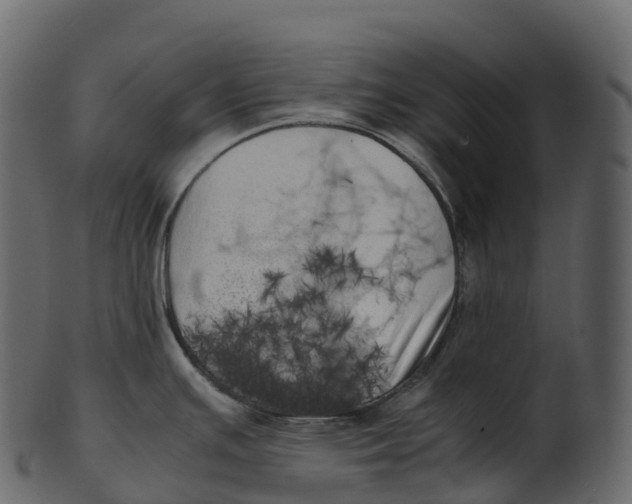 X0000100491391200807031906