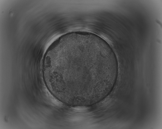 X0000100491392200807031906