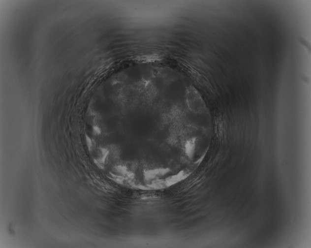 X0000100491393200807031905