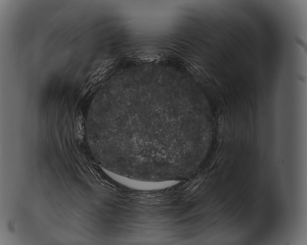 X0000100491394200807031905