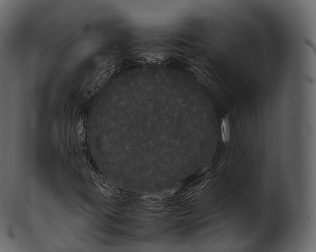 X0000100491395200807031905