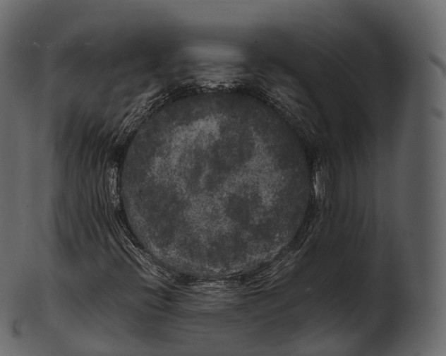 X0000100491396200807031905