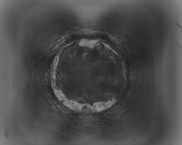 X0000100491397200807031905