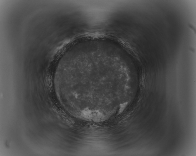 X0000100491398200807031905