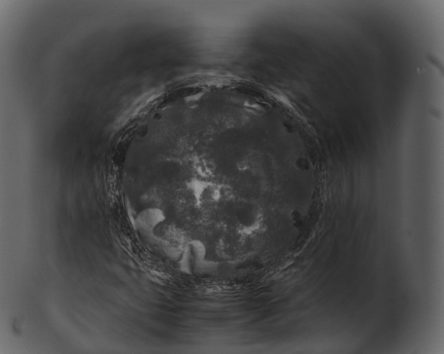 X0000100491399200807031905