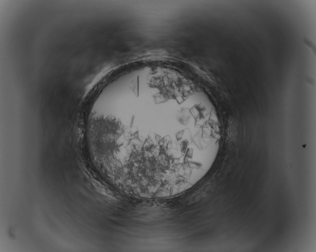 X0000100491400200807031905