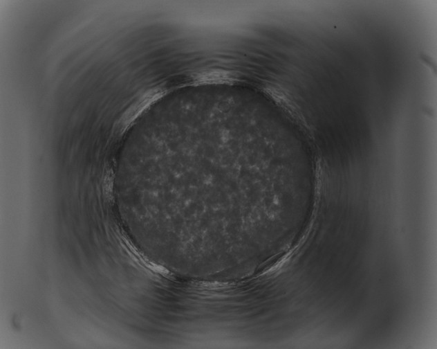 X0000100491401200807031905