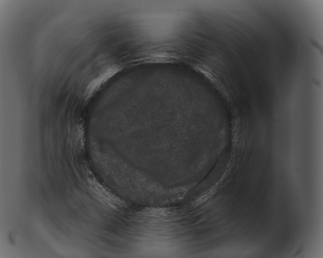 X0000100491402200807031905