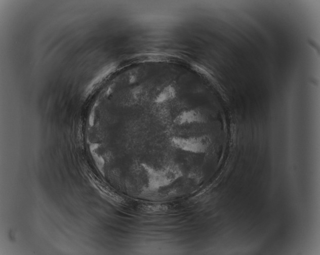 X0000100491403200807031905