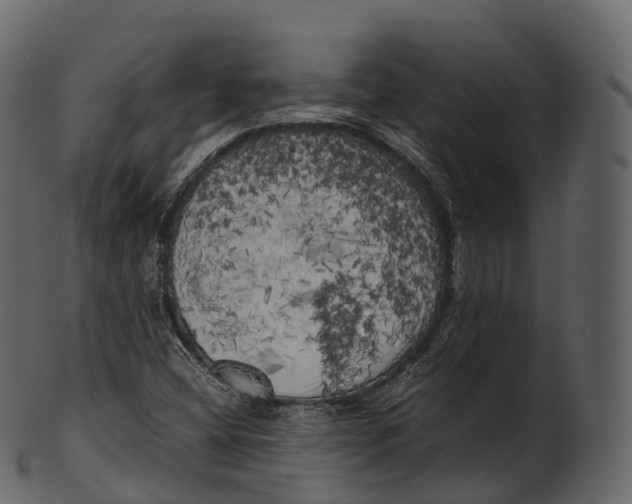 X0000100491404200807031905