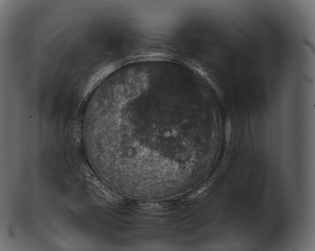 X0000100491405200807031905