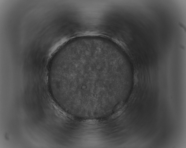 X0000100491406200807031905