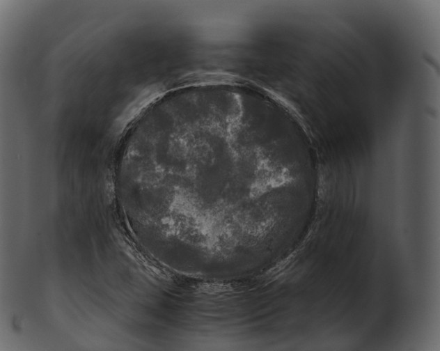 X0000100491407200807031905