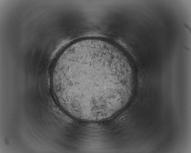 X0000100491408200807031905