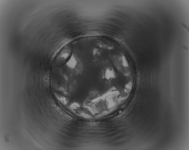 X0000100491409200807031905