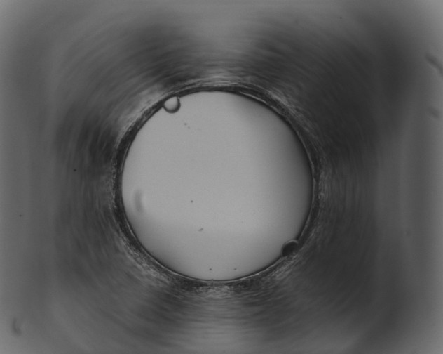 X0000100491410200807031905