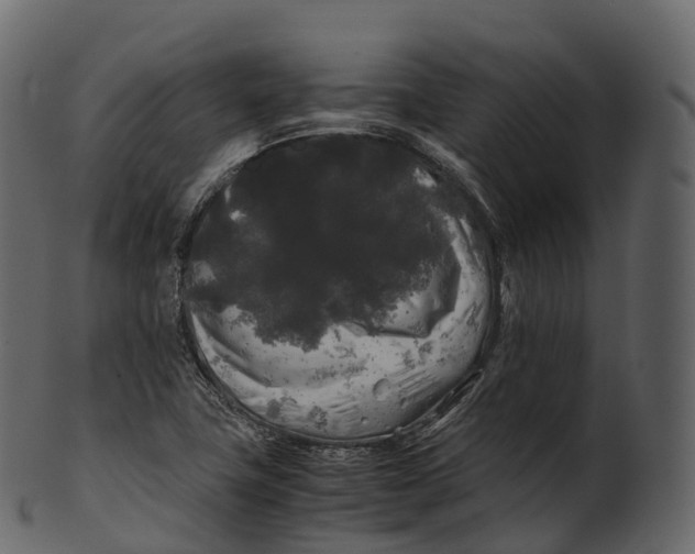 X0000100491411200807031905