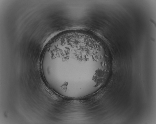 X0000100491412200807031905