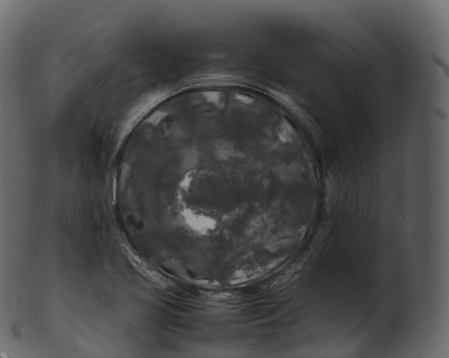 X0000100491413200807031905