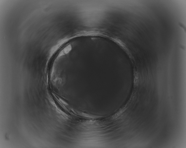 X0000100491414200807031905