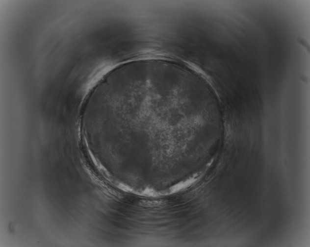 X0000100491415200807031905