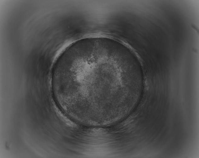 X0000100491416200807031905