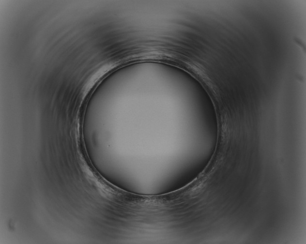 X0000100491418200807031905