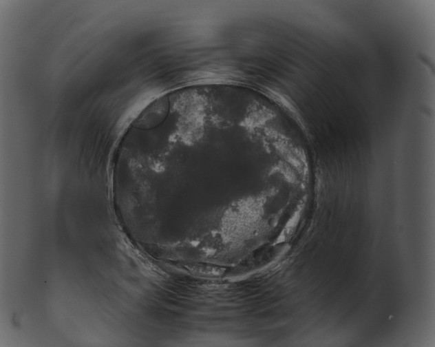 X0000100491419200807031905