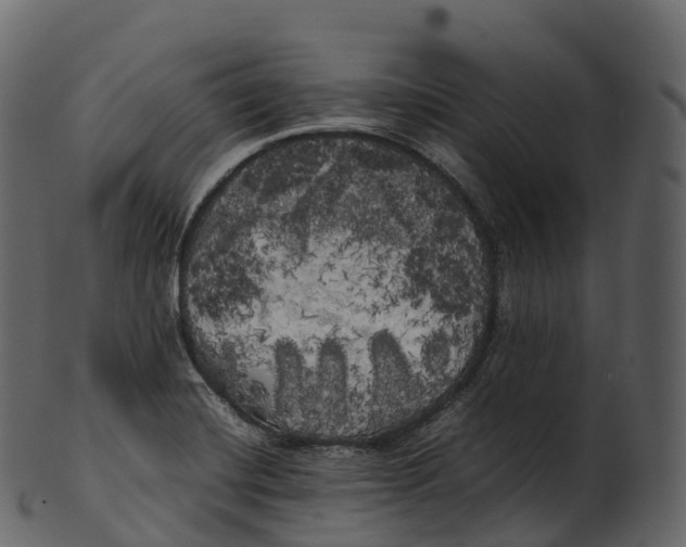 X0000100491420200807031905