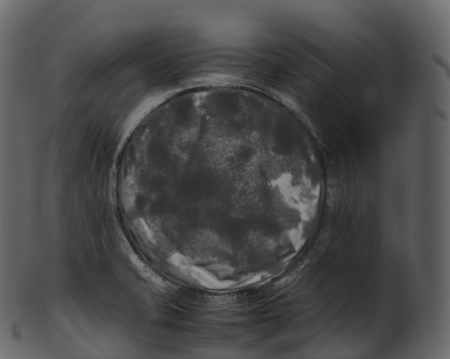 X0000100491421200807031905